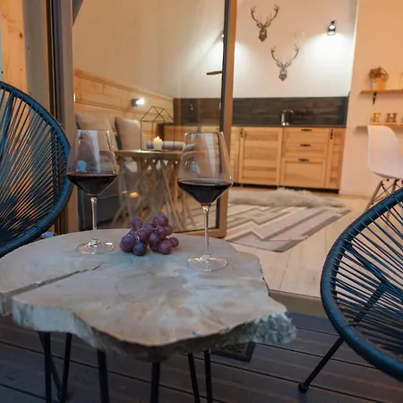 Przystanek Apartament Zakopane